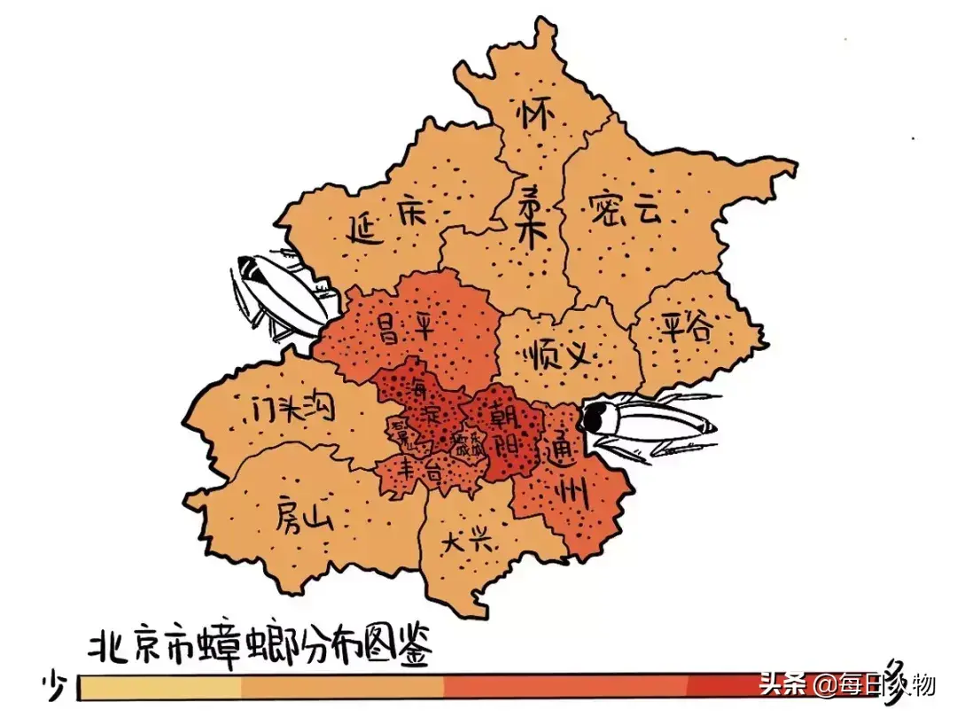 灭蟑螂用的硼酸哪里买_硼酸杀蟑_硼酸杀蟑螂用量