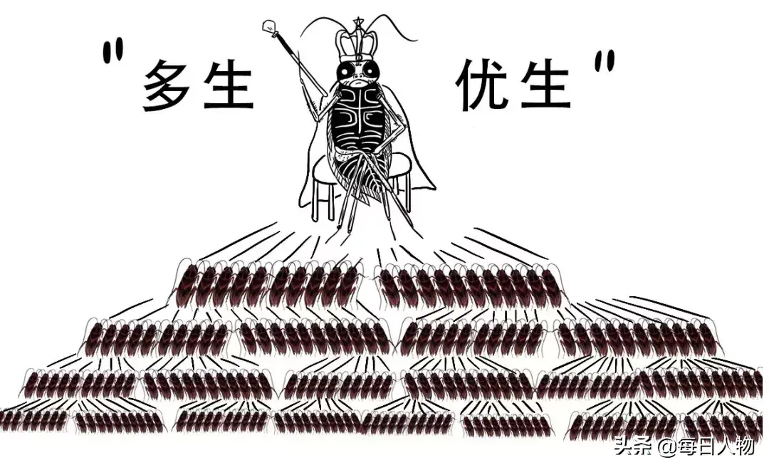 灭蟑螂用的硼酸哪里买_硼酸杀蟑_硼酸杀蟑螂用量