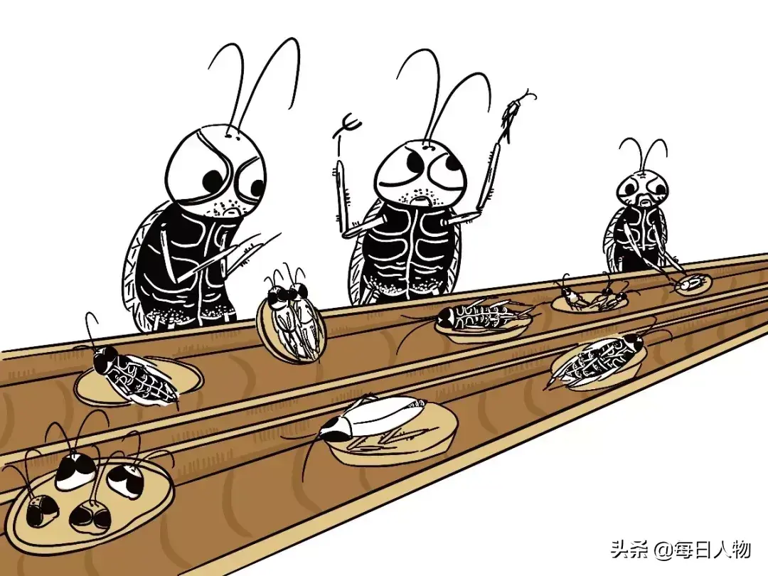 灭蟑螂用的硼酸哪里买_硼酸杀蟑_硼酸杀蟑螂用量
