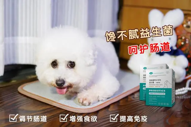 土跳蚤怎么去除_治跳蚤的最好土办法_土跳蚤咬的图片大全