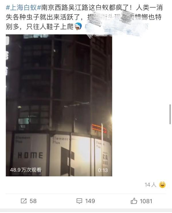 灭白蚁报价清单范本_灭白蚁收费标准_灭白蚁收费吗