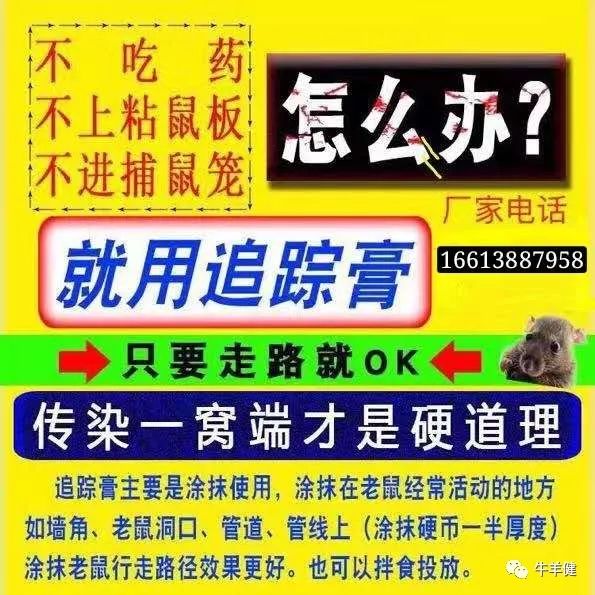 购买灭苍蝇器_苍蝇灭杀方法_怎么灭苍蝇