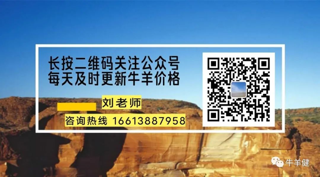 购买灭苍蝇器_苍蝇灭杀方法_怎么灭苍蝇