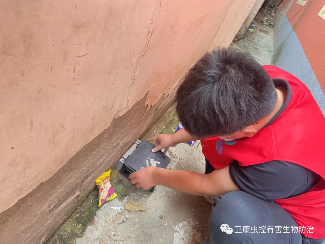 灭老鼠最好的方法_灭老鼠窍门_灭老鼠绝招