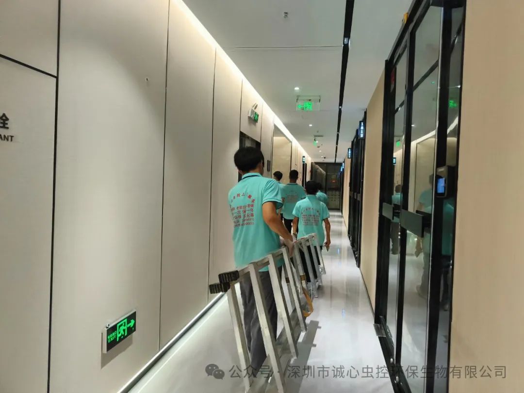 老鼠怎样才能灭老鼠_灭老鼠最好的方法_老鼠怎么灭知乎