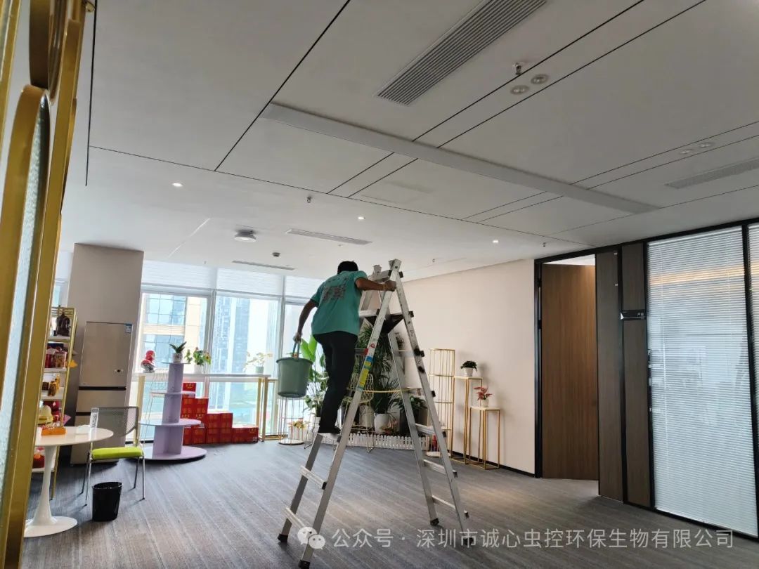 老鼠怎么灭知乎_老鼠怎样才能灭老鼠_灭老鼠最好的方法