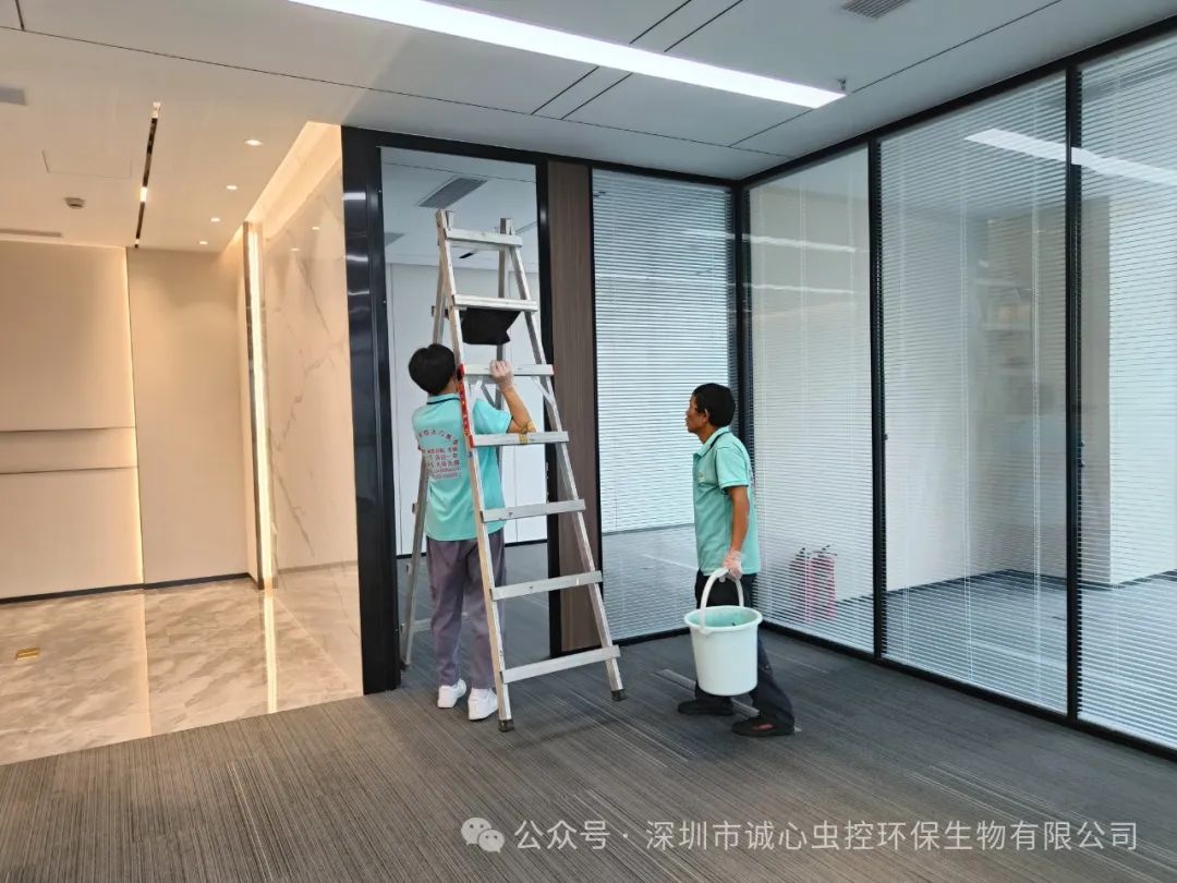 老鼠怎么灭知乎_灭老鼠最好的方法_老鼠怎样才能灭老鼠