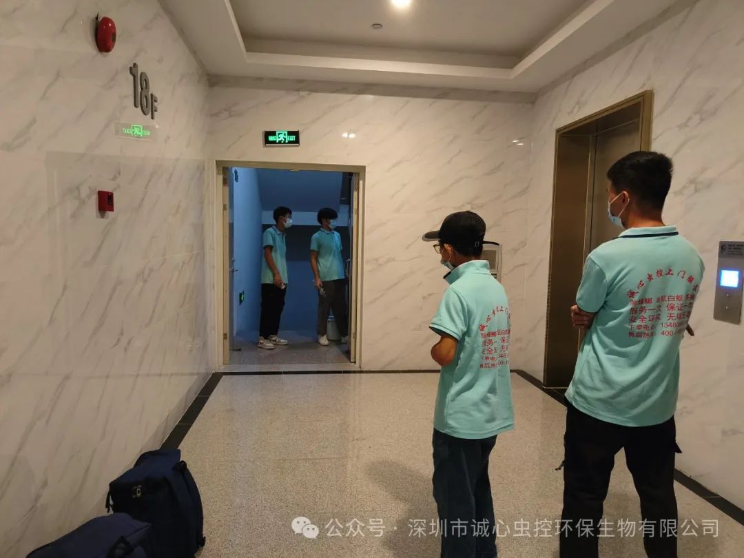 老鼠怎么灭知乎_老鼠怎样才能灭老鼠_灭老鼠最好的方法