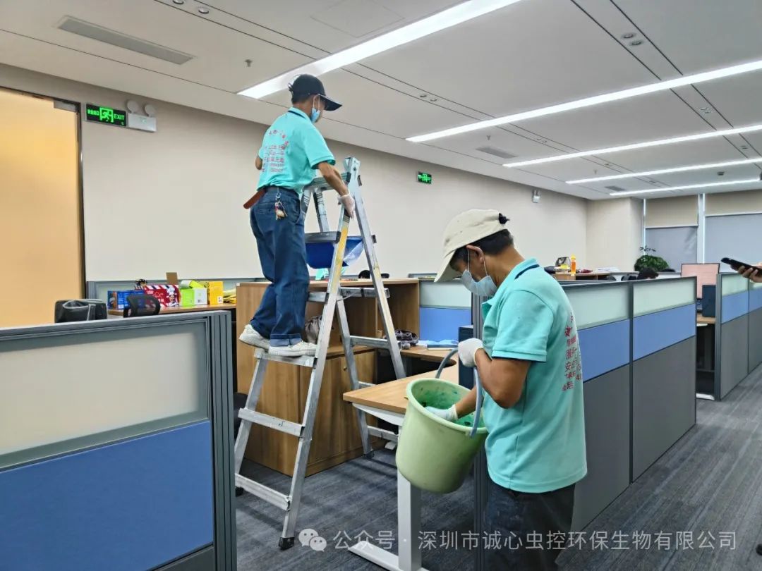 老鼠怎么灭知乎_灭老鼠最好的方法_老鼠怎样才能灭老鼠