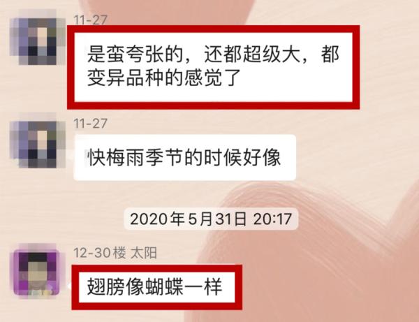 灭白蚁的收费标准_灭白蚁报价清单范本_灭白蚁收费标准