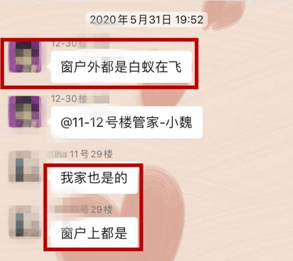 灭白蚁报价清单范本_灭白蚁的收费标准_灭白蚁收费标准