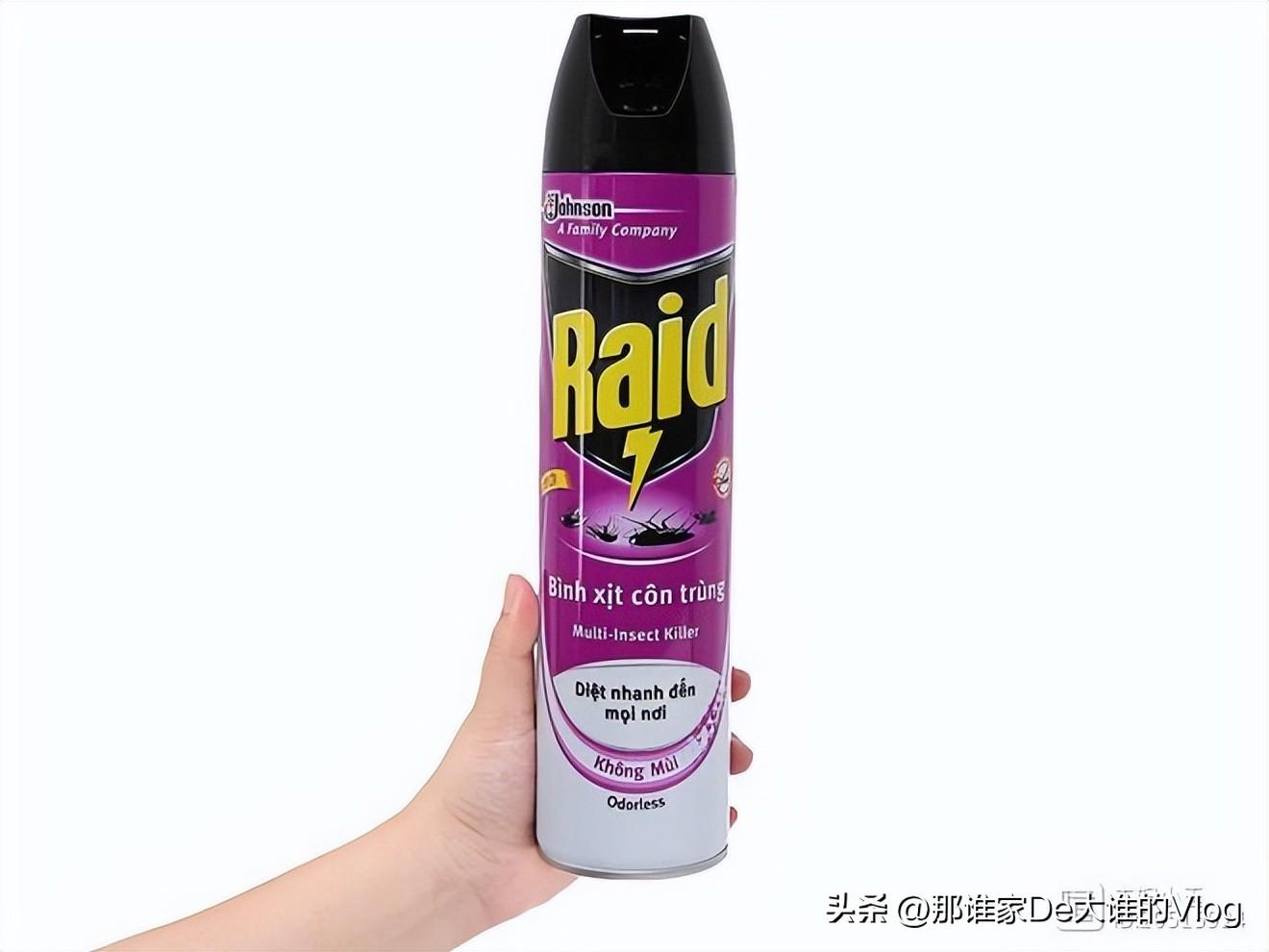 把苍蝇消灭虫子_有什么好灭苍蝇_苍蝇灭不完怎么办