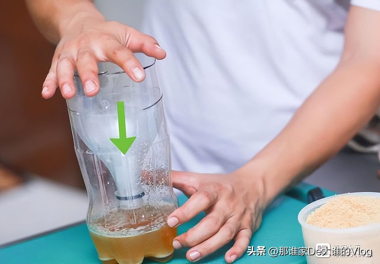 苍蝇灭不完怎么办_有什么好灭苍蝇_把苍蝇消灭虫子