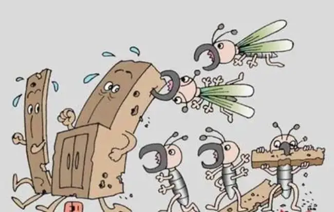 灭白蚁的方法_灭白蚁方法有哪些图片_灭白蚁方法就是和用药