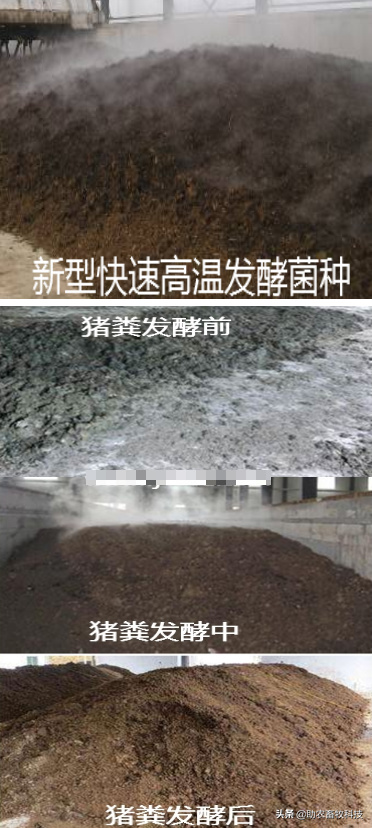 苍蝇灭_有什么好灭苍蝇_苍蝇全部消灭后会有什么影响