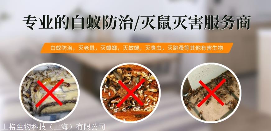 上门灭白蚁收费标准_上门灭白蚂蚁_灭白蚁上门服务多少钱