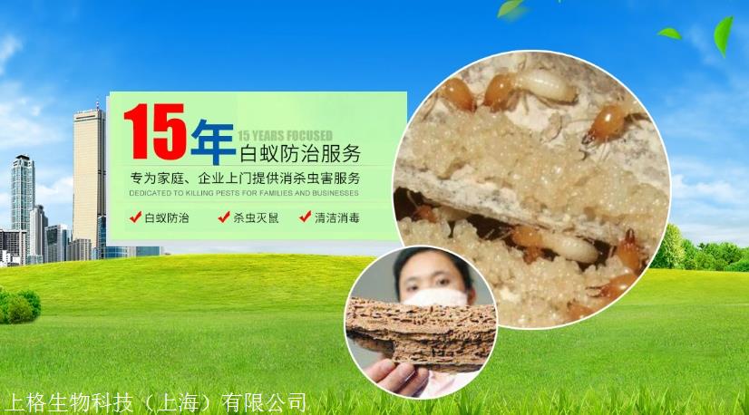 上门灭白蚁收费标准_上门灭白蚂蚁_灭白蚁上门服务多少钱