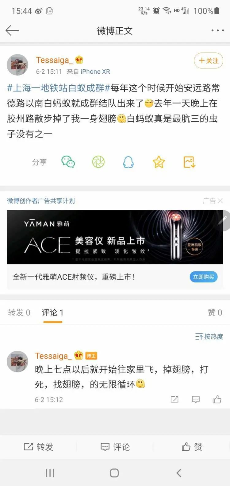 白蚁灭完后怎么处理_白蚁消杀后还会有吗_灭白蚁一年后又发现白蚁怎么办