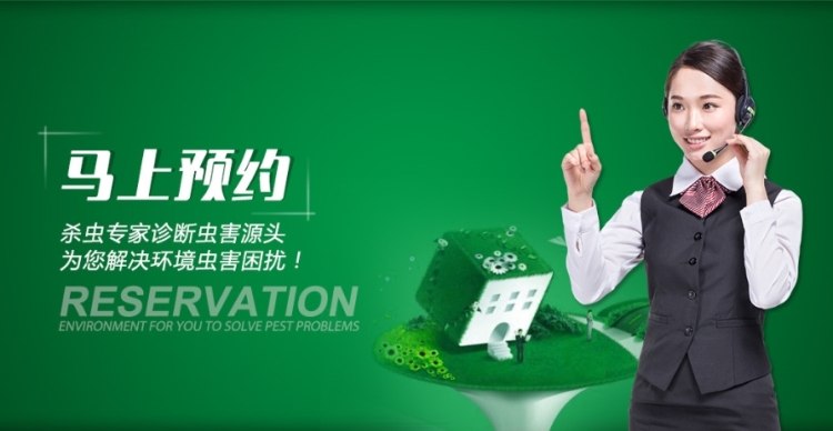 灭白蚁部门_灭白蚁_灭白蚁有毒吗