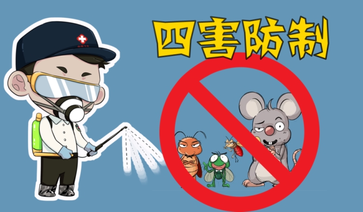 灭白蚁_灭白蚁有毒吗_灭白蚁部门