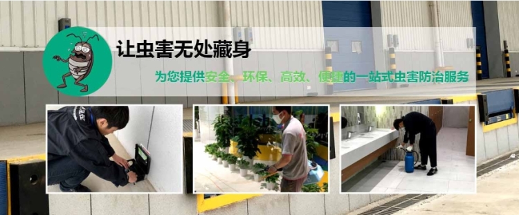 灭白蚁_灭白蚁部门_灭白蚁有毒吗