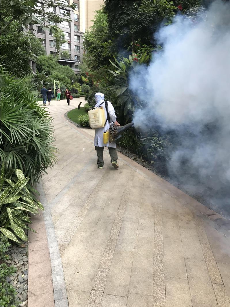 遂宁市除蟑螂