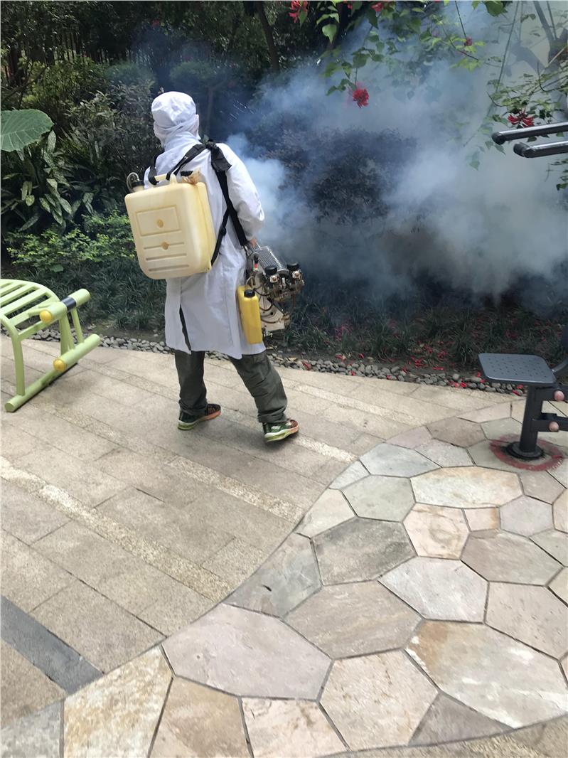 遂宁市除蟑螂