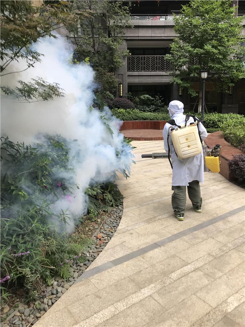 遂宁市除蟑螂