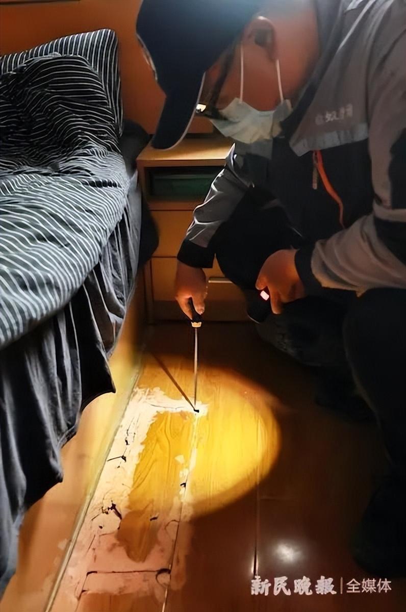 灭白蚁一年后又发现白蚁怎么办_白蚁灭完后怎么处理_白蚁灭了还会反复吗