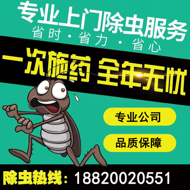 什土方法灭蟑螂好 灭跳蚤最有效的土方法