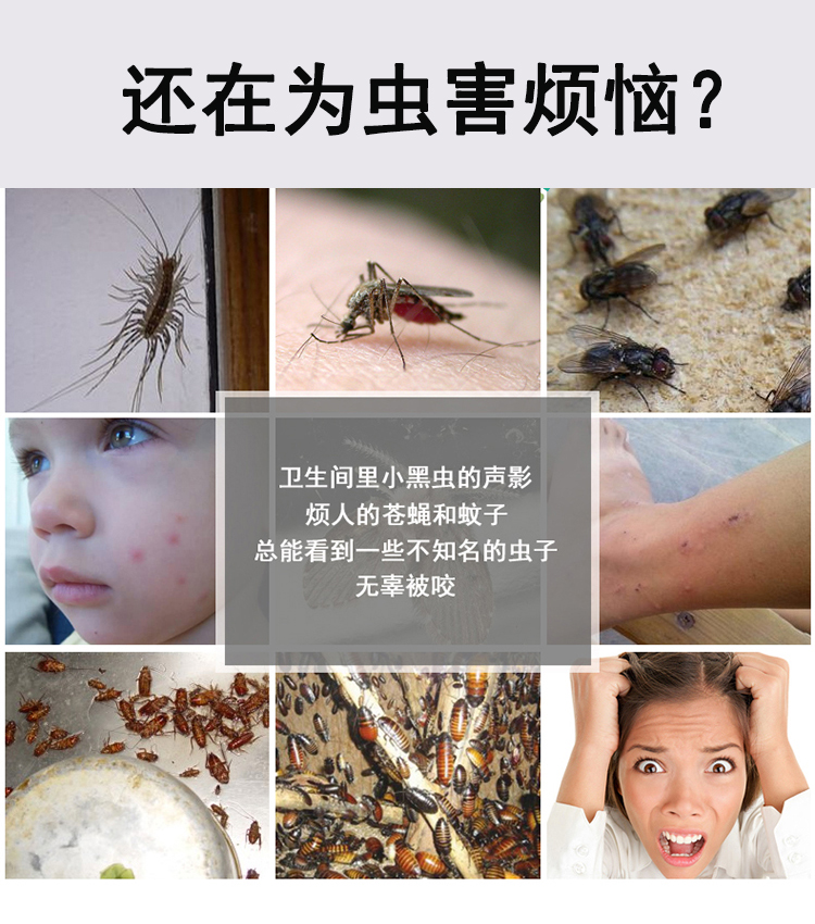 什土方法灭蟑螂好 灭跳蚤最有效的土方法