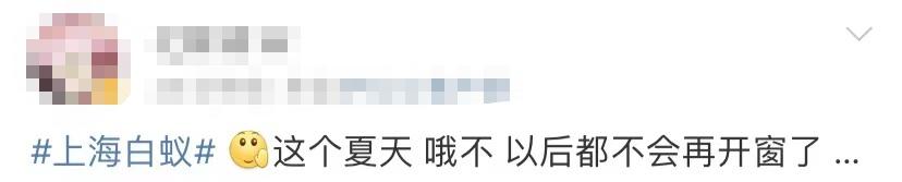白蚁灭了还会反复吗_灭白蚁一年后又发现白蚁怎么办_白蚁灭完后怎么处理