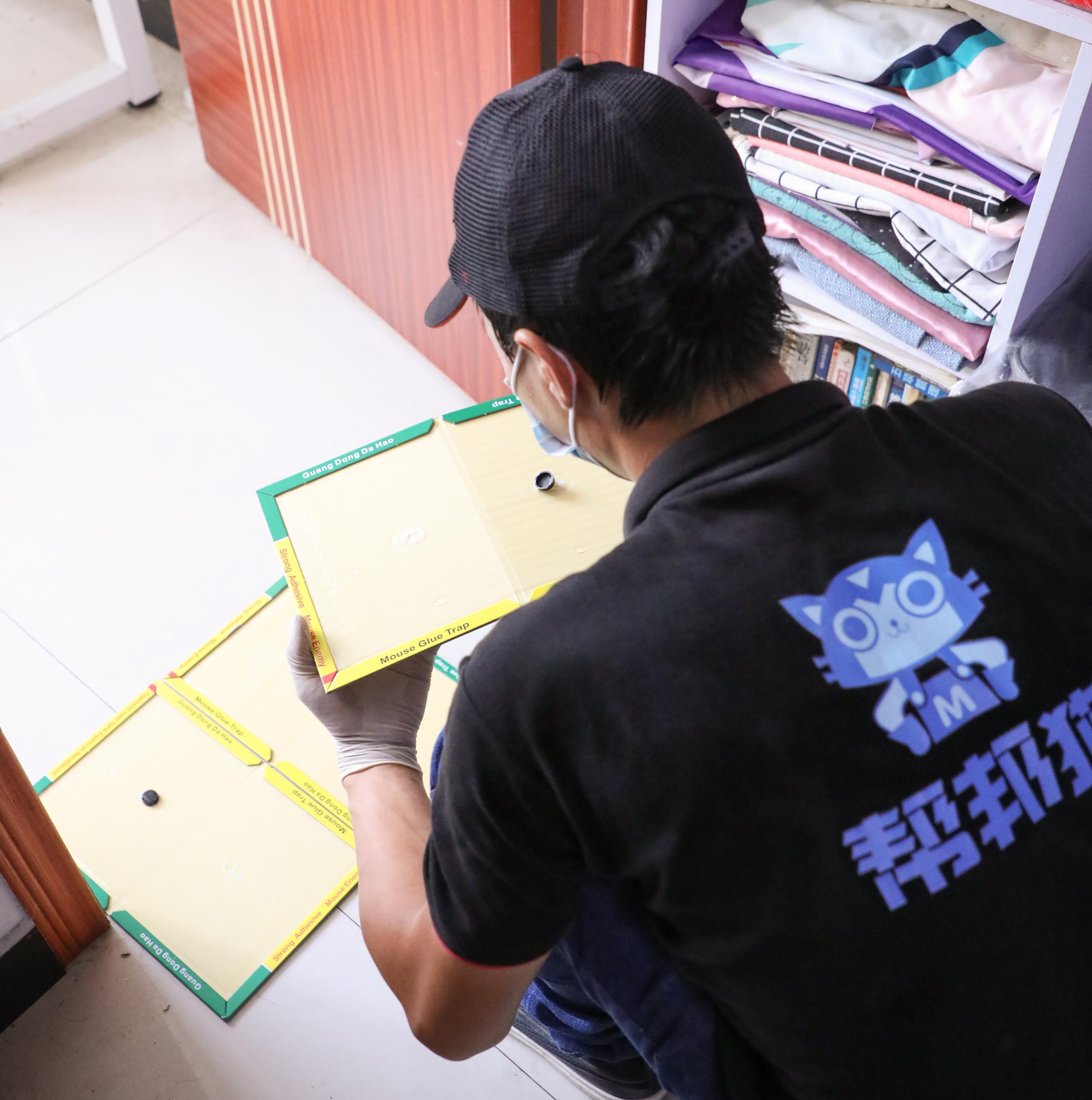灭老鼠公司怎么收费_灭老鼠服务公司_灭老鼠公司有用吗