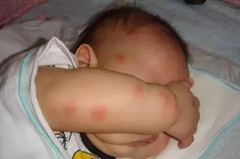蟑螂灭蟑螂方法_灭蟑螂小窍门_蟑螂如何灭