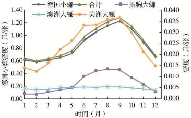 蟑螂灭蟑螂方法_蟑螂如何灭_灭蟑螂小窍门