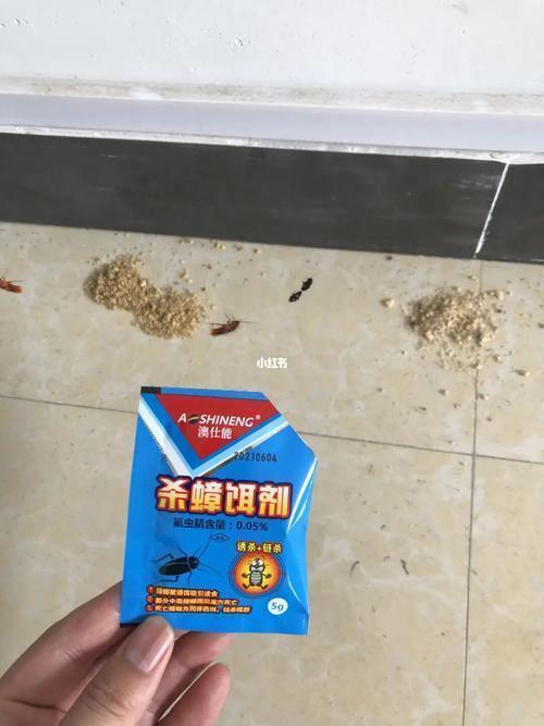 蟑螂灭蟑螂方法_灭蟑螂小窍门_蟑螂如何灭