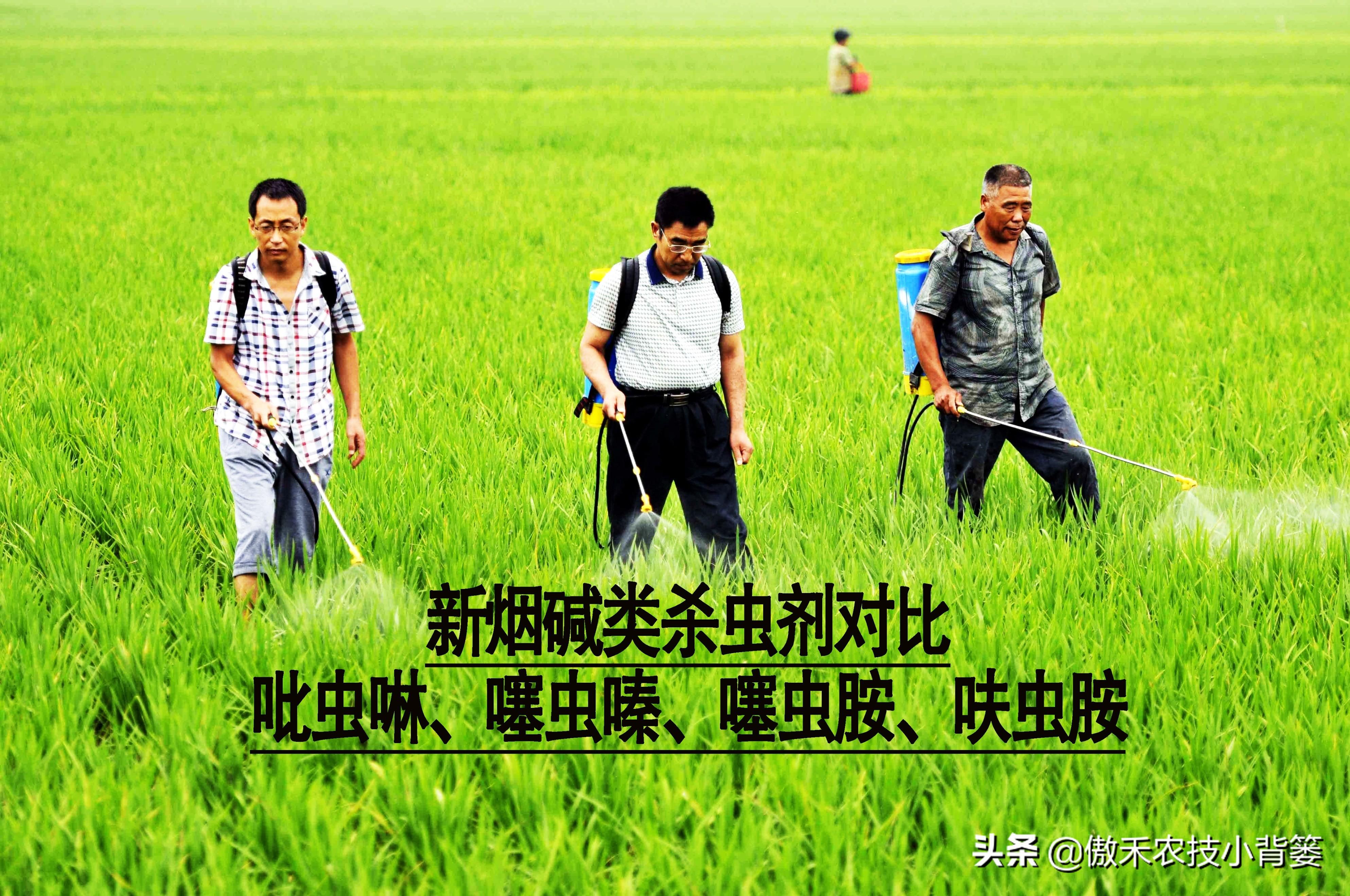 杀虫剂灭跳蚤_灭跳骚杀虫剂_灭跳蚤农药