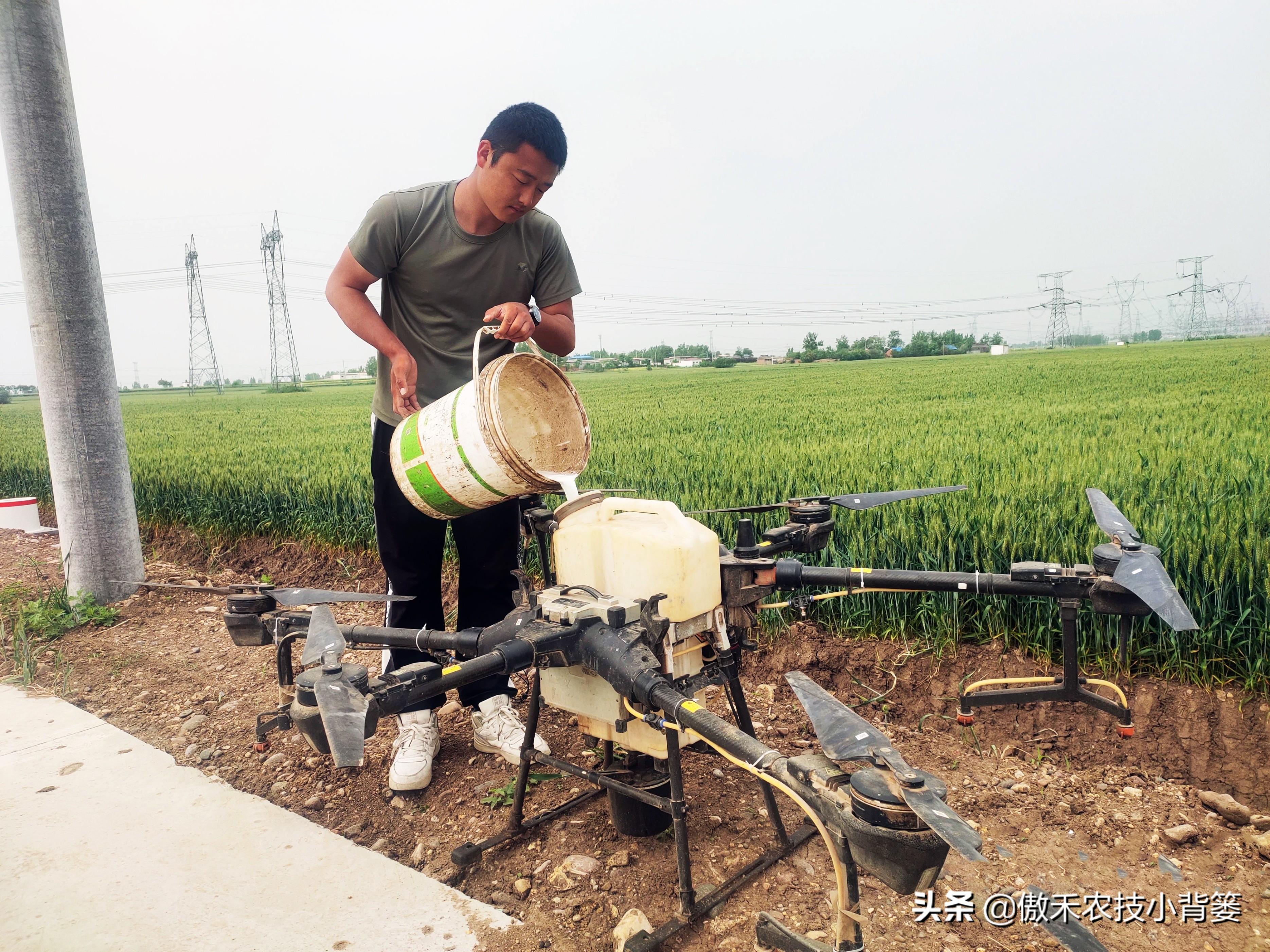 灭跳蚤农药_杀虫剂灭跳蚤_灭跳骚杀虫剂