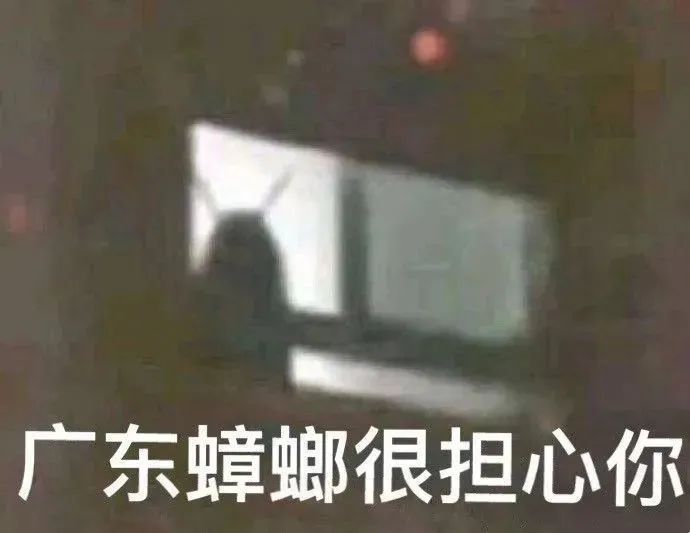 蟑螂灭虫药_灭杀蟑螂药_灭蟑螂的药