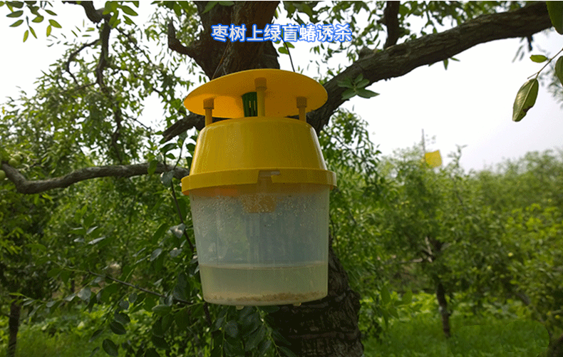 灭臭虫喷雾剂_臭虫喷雾器喷了臭虫会出来吗_喷雾杀虫剂能杀死臭虫吗