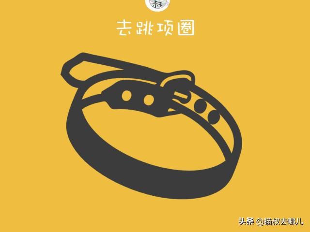 跳蚤灭法_灭跳蚤最有效的偏方_灭跳蚤专用药