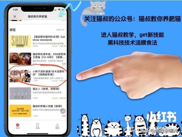 跳蚤灭法_灭跳蚤专用药_灭跳蚤最有效的偏方