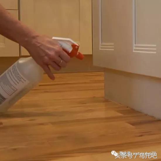 喷雾杀虫剂能杀死臭虫吗_杀臭虫的喷雾剂_灭臭虫喷雾剂