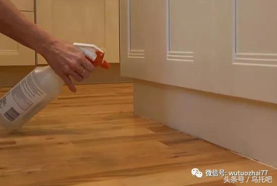 灭臭虫喷雾剂_喷雾杀虫剂能杀死臭虫吗_杀臭虫的喷雾剂