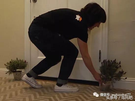 喷雾杀虫剂能杀死臭虫吗_灭臭虫喷雾剂_杀臭虫的喷雾剂