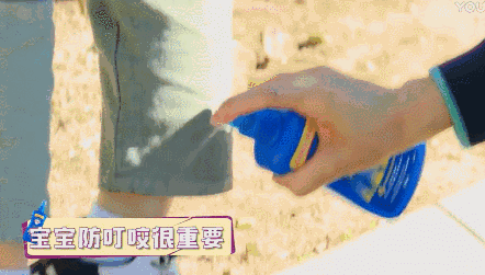 臭虫喷雾器喷了臭虫会出来吗_杀臭虫的喷雾_灭臭虫喷雾剂