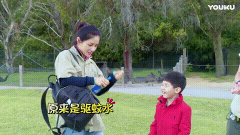 臭虫喷雾器喷了臭虫会出来吗_杀臭虫的喷雾_灭臭虫喷雾剂