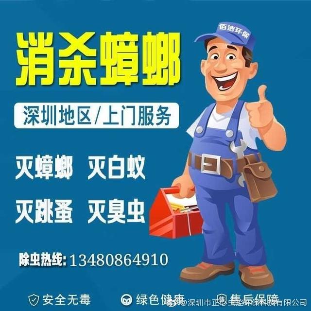 家里有蟑螂怎么办 灭蟑螂的专业公司上门-第9张图片