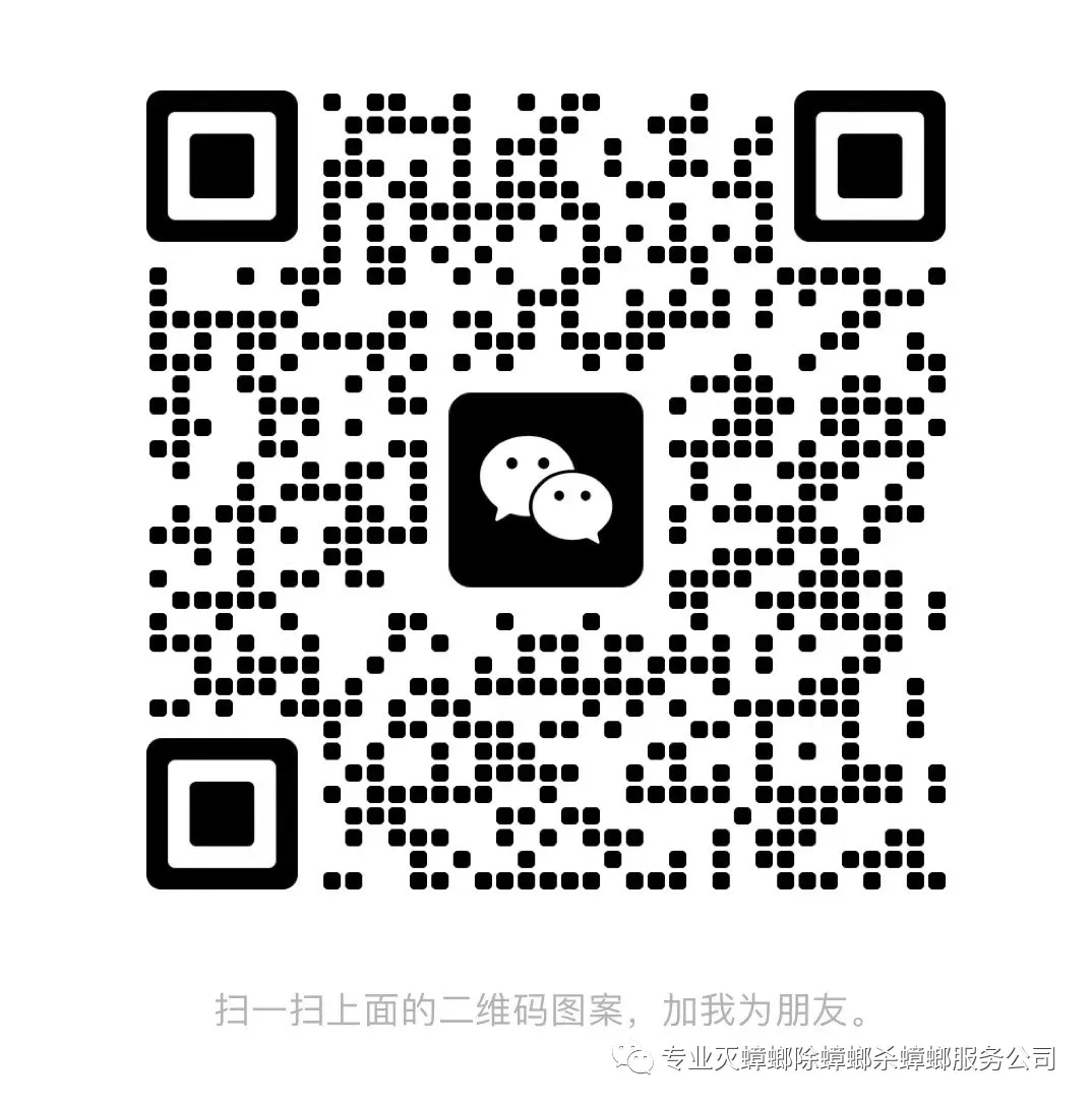 蟑螂上门灭公司怎么办_蟑螂上门灭公司有用吗_灭蟑螂上门公司