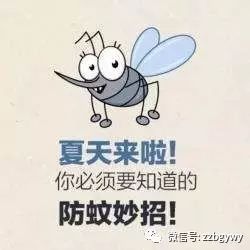 如何灭蚊子最快最有效_灭蚊子特效药_灭蚊子最有效的产品